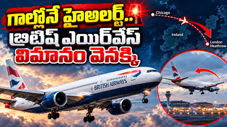 న్యూస్