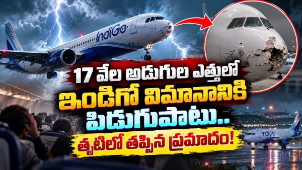 17 వేల అడుగుల ఎత్తులో విమానానికి పిడుగు.. పైలట్‌ ఏం చేశారంటే..?