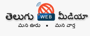 తెలుగు వెబ్ మీడియా లోగో